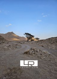 Jeep Safari Special from Hurghada – Discover the Bedouin Village Om Dalfa photo